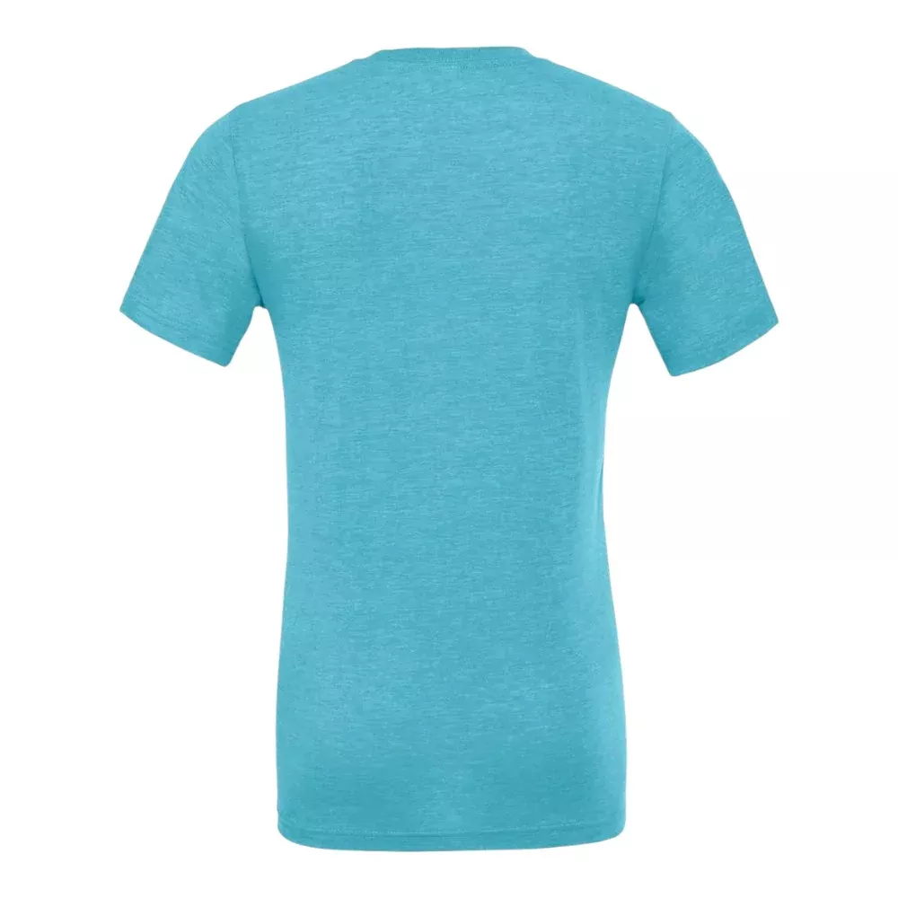 Bella + Canvas 3413 - Unisex Triblend Tee, Blank Shirt