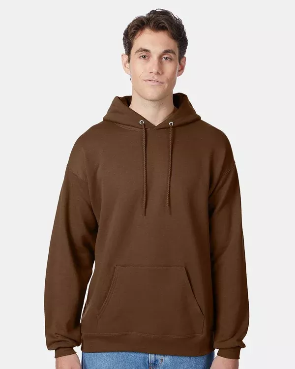 Hanes P170 EcoSmart Pullover Hooded Sweatshirt