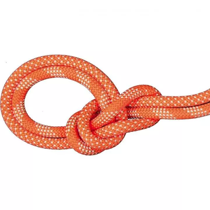 Mammut 9.8 Crag Classic Rope