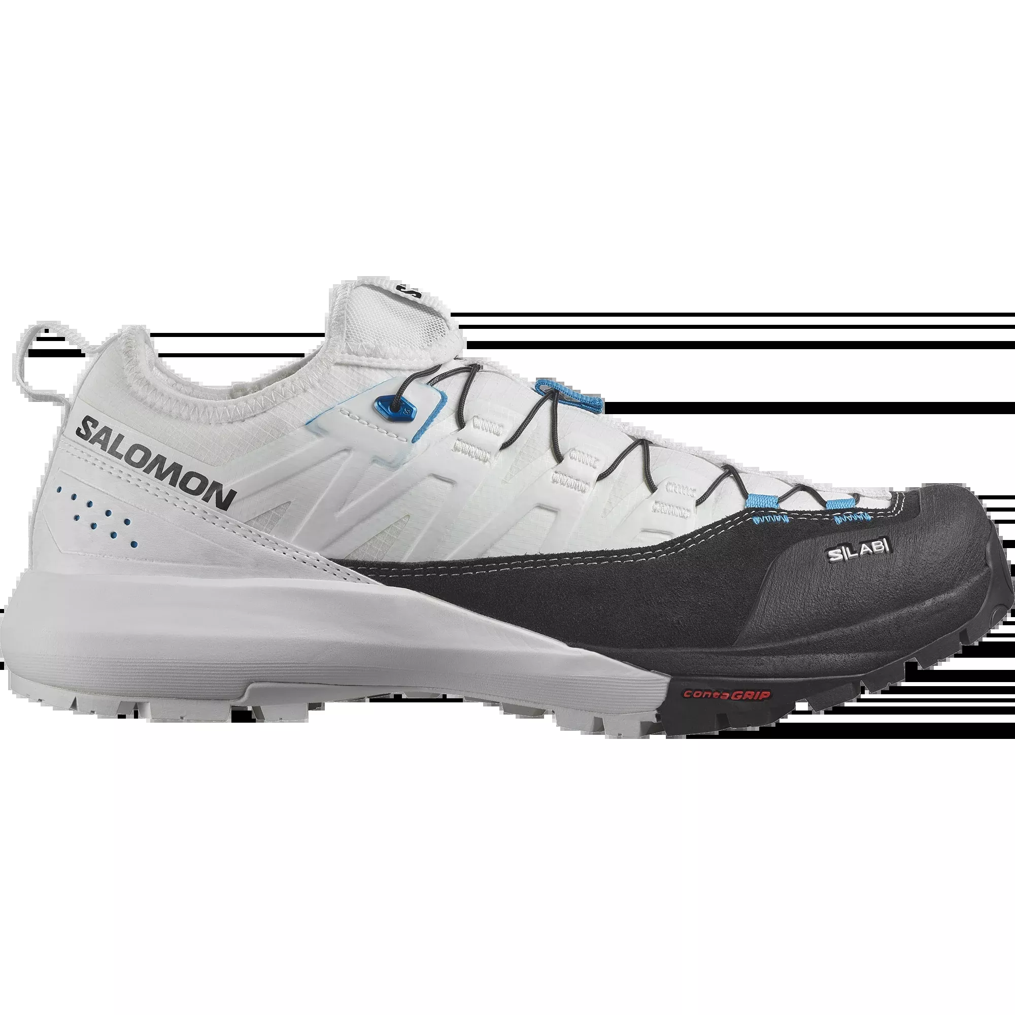 Salomon S/Lab Alpinway Men's Hiking Shoes